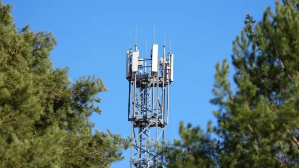Ein Mast mit Mobilfunk-Antennen steht zwischen Kiefern. - &copy; Soeren Stache/dpa-Zentralbild/dpa/Symbolbild