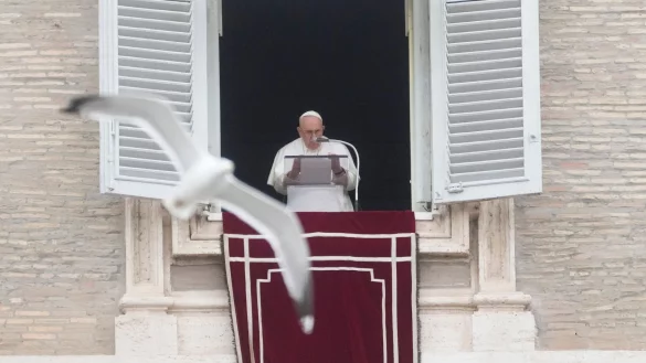 Papst Franziskus spricht das Angelus-Mittagsgebet auf dem Petersplatz im Vatikan, w&auml;hrend ein Vogel vorbeifliegt. - &copy; Gregorio Borgia/AP/dpa/Archivbild