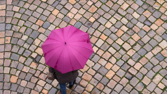 Eine Frau geht mit einem Regenschirm auf einer Straße entlang. - © Sebastian Kahnert/dpa-Zentralbild/dpa/Symbolbild