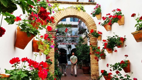 Reich geschm&uuml;ckt: Vor allem, wenn alles bl&uuml;ht, locken die Patios C&oacute;rdobas Besucher an. - &copy; Roswitha Bruder-Pasewald/dpa-tmn