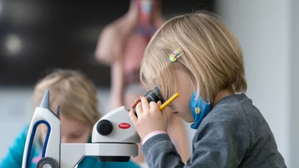 Grundsch&uuml;ler arbeiten an Mikroskopen. - &copy; Sebastian Kahnert/dpa-Zentralbild/dpa/Archiv