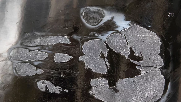 Ein Handabdruck eines abgel&ouml;sten Klimaaktivisten (Symbolbild). - &copy; Paul Zinken/dpa