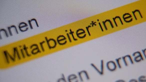 Die Anrede &laquo;Mitarbeiter*innen&raquo; ist in der Handreichung &laquo;Hinweise zur Umsetzung der geschlechtersensiblen Sprache f&uuml;r die Verwaltung der Landeshauptstadt Stuttgart&raquo; markiert und auf einem Bildschirm zu sehen. (Illustration) - &copy; Sebastian Gollnow/dpa