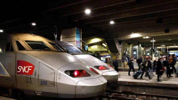 Im Pariser Bahnhof Montparnasse ist eine Katze von einem Zg &uuml;berfahren worden - Frankreich diskutiert. - &copy; Christophe Ena/AP/dpa