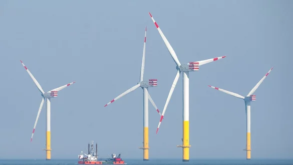 Offshore-Windpark in der Nordsee. Windr&auml;der auf dem Meer haben laut einer neuen Studie negativen Einfluss auf die Best&auml;nde von Seetauchern. - &copy; Sina Schuldt/dpa