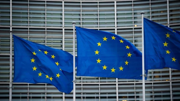 In der EU gibt es Pilotprojekte f&uuml;r digitale Identity Wallets. - &copy; Arne Immanuel B&auml;nsch/dpa