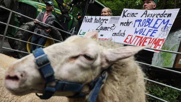 Mitglieder des Rheinischen Landwirtschafts-Verbands demonstrieren mit Plakaten. - &copy; Oliver Berg/dpa
