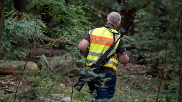 Ein Gemeindej&auml;ger durchsucht im Bereich der s&uuml;dlichen Landesgrenze von Berlin den Wald. - &copy; Fabian Sommer/dpa