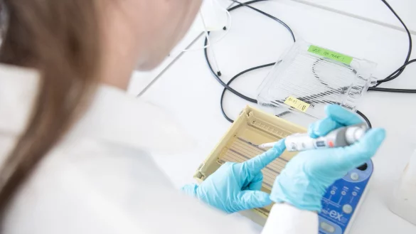 Bei rund f&uuml;nf bis zehn Prozent der Krebserkrankungen waren erbliche Genmutationen ausschlaggebend. - &copy; Sebastian Gollnow/dpa/dpa-tmn