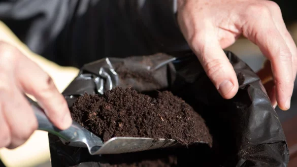 Ein unangenehmer Geruch in frisch gekaufter Blumenerde kann ein Qualitätsmerkmal sein. - © Andrea Warnecke/dpa-tmn