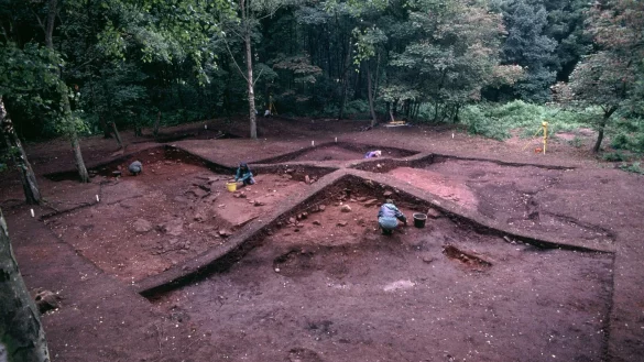 Einer Studie zufolge brachten die Wikinger Tiere auf ihren Schiffen &uuml;ber die Nordsee nach Gro&szlig;britannien mit und lie&szlig;en sie bei Feuerbestattungen gemeinsam mit menschlichen &Uuml;berresten verbrennen. - &copy; Julian Richards/University of York/dpa