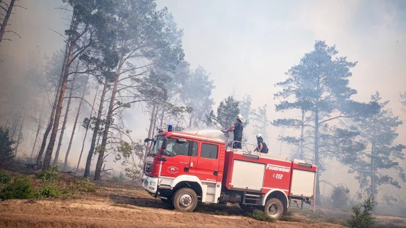 Einsatzkr&auml;fte der Feuerwehr bek&auml;mpfen in einem Waldst&uuml;ck nahe J&uuml;terbog das Feuer. - &copy; Fabian Sommer/dpa