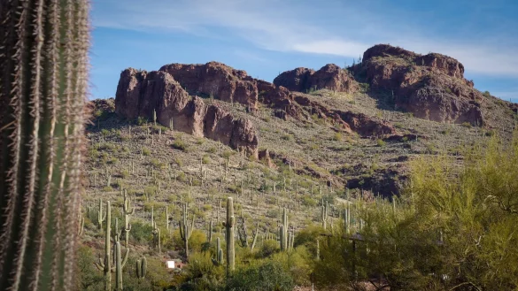 Schroffe Felsformationen und eine Menge Kakteen: Der Peralta Regional Park in Arizona wirbt mit rauer Urspr&uuml;nglichkeit. - &copy; Pinal County/dpa-tmn