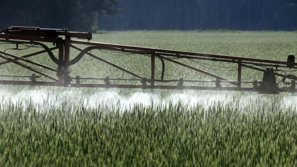 Je mehr Pflanzenschutzmittel auf den umgebenden &Auml;ckern eingesetzt wurden, desto st&auml;rker waren die Gew&auml;sser mit deren R&uuml;ckst&auml;nden belastet. - &copy; Peter F&ouml;rster/dpa