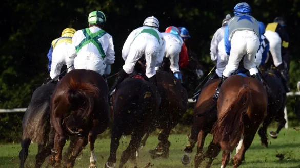 Gestüt Fährhofs drei Jahre alte Stute Habana hat am Sonntag in Düsseldorf den 103. German 1000 Guineas gewonnen. - © Henning Kaiser/dpa