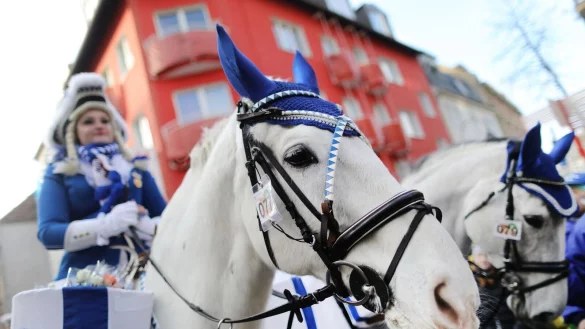Eine Karnevalistin auf einem Pferd nimmt am K&ouml;lner Rosenmontagszug teil. - &copy; Rolf Vennenbernd/dpa/Archivbild