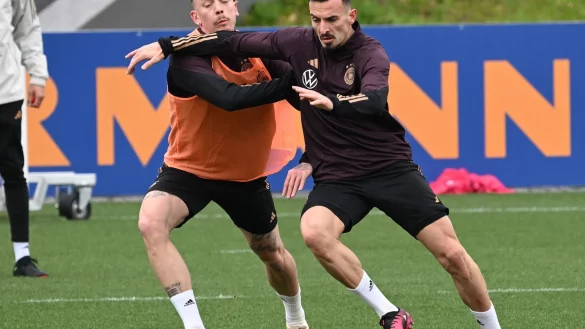 Marius Wolf (l) und Mergim Berisha beim Training der Nationalmannschaft. - &copy; Arne Dedert/dpa