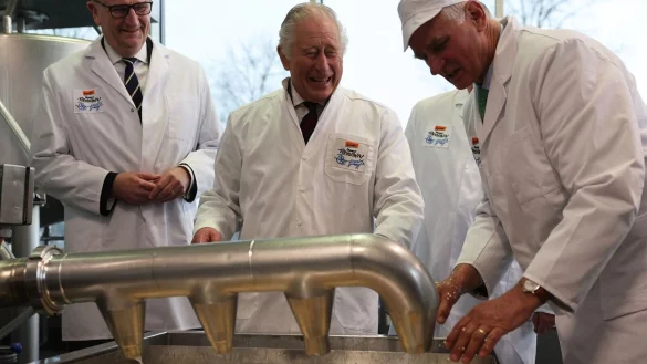 Das Kälbchen-Streicheln fiel aus, aber für die Käserherstellung war Zeit. - © Jens Büttner/dpa-POOL/dpa