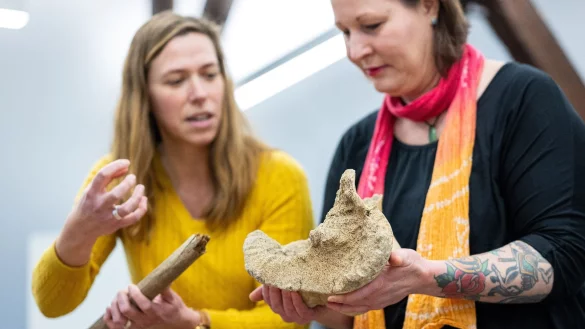Arch&auml;ologin Julia Ricken (l) und die Finderin Simone Grundmann schauen sich die Knochen des 15.000 Jahre alten Wollhaar-Mammuts an. - &copy; Guido Kirchner/dpa