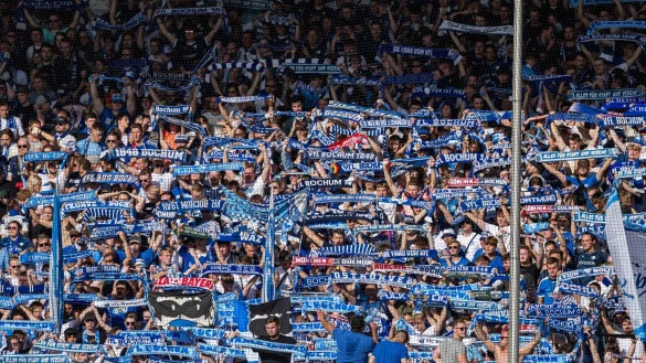 Die Bochumer Fans feiern auf der Trib&uuml;ne. - &copy; David Inderlied/dpa