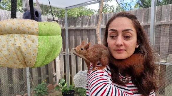 Tiersch&uuml;tzerin Mona Gahrib hat ein Eichh&ouml;rnchen auf der Schulter. - &copy; Fernando Martinez/TNN/dpa