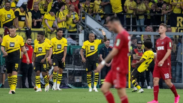 Borussia Dortmund tat sich im Heimspiel gegen den 1.FC K&ouml;ln lange schwer, siegte am Ende aber 1:0. - &copy; Bernd Thissen/dpa