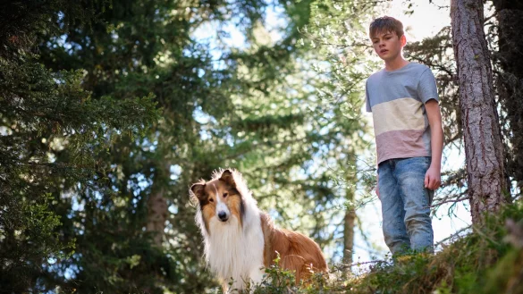Flo (Nico Marischka) will sich auch in den Ferien nicht von Lassie trennen. - &copy; Olver Oppitz/Leonine/dpa