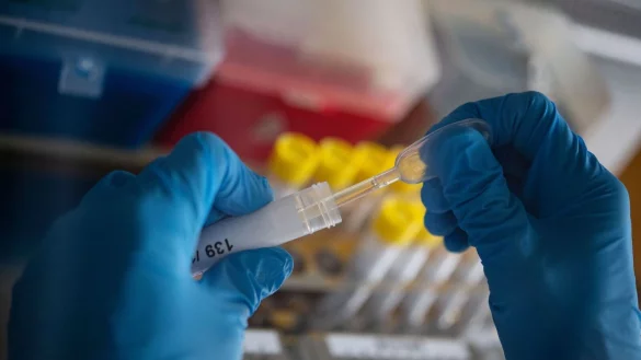 Erneut wurde ein H3N8-Fall bei einem Menschen gemeldet. Die WHO sch&auml;tzt das Risiko, dass sich das Virus unter Menschen ausbreitet, bisher jedoch gering ein. - &copy; Marijan Murat/dpa/Symbolbild