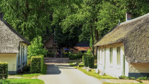 Reetdachh&auml;user in Frederiksoord: Hier wurde 1818 eine Kolonie f&uuml;r arme Familien gegr&uuml;ndet. - &copy; Bernd F. Meier/dpa-tmn
