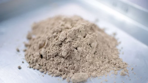 Mehl aus getrockneten Hausgrillen wird f&uuml;r das Verpacken vorbereitet. Von Dienstag an d&uuml;rfen Hausgrillen in Lebensmitteln verwendet werden. Dann tritt ein neues EU-Gesetz in Kraft. - &copy; Visarut Sankham/dpa