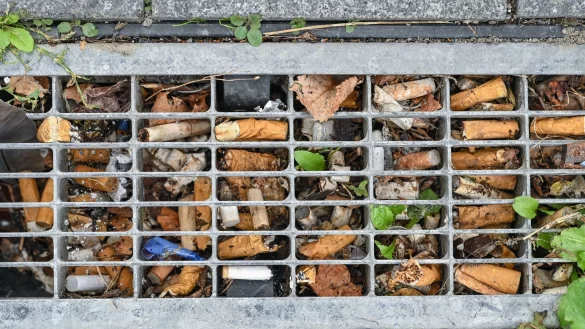 Durchschnittlich drei Zigaretten pro Quadratmeter fanden Forscher vor einigen Jahren in Berlin - das Maximum waren 49 pro Quadratmeter. - &copy; Patrick Pleul/dpa