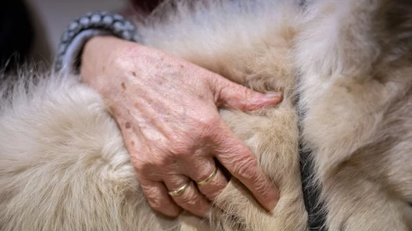Der Besuch der Ponys bringt Abwechslung f&uuml;r die Bewohnerinnen und Bewohner des Pflegeheims im Frankfurter Stadtteil Sachsenhausen. - &copy; Sebastian Gollnow/dpa