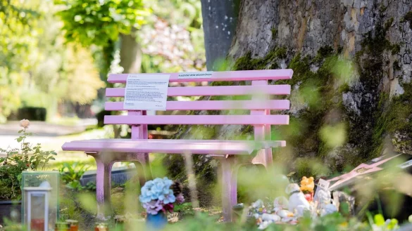 Eine rosafarbene Bank steht neben dem Grab von Dirk Bach auf dem Melatenfriedhof. - &copy; Rolf Vennenbernd/dpa