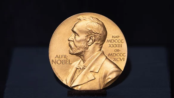 Die Nobelmedaille des deutschen Schriftstellers Günter Grass. (Archivbild) - © Daniel Reinhardt/dpa