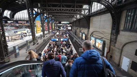 Im Fernverkehr kommt es zu Einschränkungen. - © Marcus Brandt/dpa