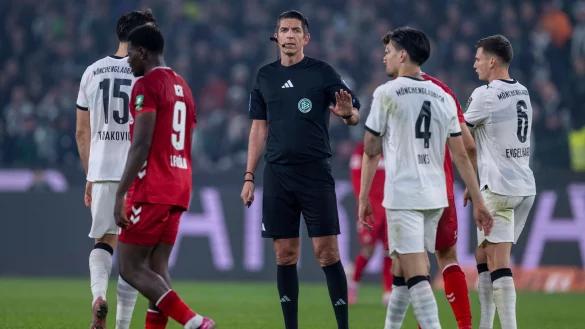 Schiedsrichter Aytekin im Mittelpunkt der Diskussion. - &copy; David Inderlied/dpa