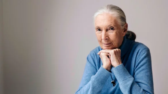 Die ber&uuml;hmte Schimpansenforscherin Jane Goodall ist im Alter von 91 Jahren gestorben. (Archivbild) - &copy; Victoria Will/Invision/AP/dpa