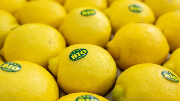 Bei vielen Verbrauchern sind Bio-Lebensmittel beliebt. (Symbolbild) - &copy; Daniel Karmann/dpa