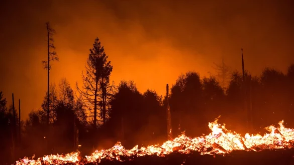 Die Waldbrandgefahr steigt mit dem Klimawandel, da D&uuml;rren h&auml;ufiger werden. (Illustration) - &copy; Daniel Vogl/dpa/dpa-tmn