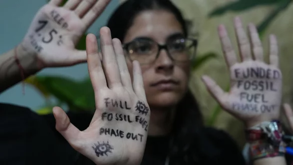Auch Klimaaktivisten fordern ein Aus f&uuml;r fossile Energietr&auml;ger. - &copy; Joshua A. Bickel/AP/dpa