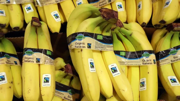 Bei Bananen ist die Nachfrage zuletzt besonders rasant gestiegen. - &copy; Wolfgang Kumm/dpa