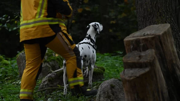 «Der Junge war möglicherweise auf dem Weg zu seinem Vater», sagte die Sprecherin. - © Stefan Sauer/dpa