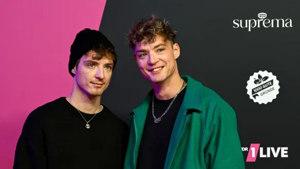 Roman (l) und Heiko (r) Lochmann nennen sich musikalisch mittlerweile HE/RO. (Archivbild) - © David Inderlied/dpa