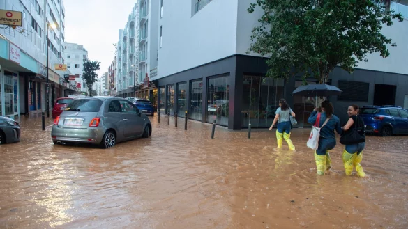 Die Partyinsel st&uuml;rzte ins Chaos. - &copy; Germ&aacute;n Lama/EUROPA PRESS/dpa