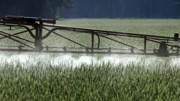 Die EU hat die Genehmigung f&uuml;r Glyphosat zuletzt bis Ende 2033 verl&auml;ngert. (Symbolbild) - &copy; Peter F&ouml;rster/dpa
