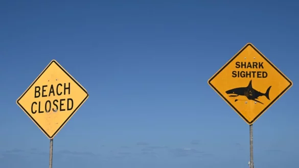 Die Strände in der Region wurden zunächst gesperrt. (Symbolbild) - © Dean Lewins/AAP/dpa