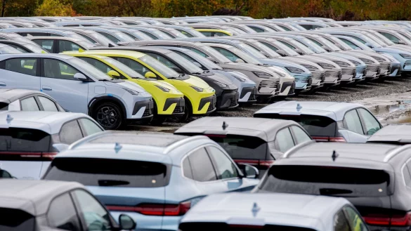 Aus China importierte Elektroautos in Wilhelmshaven. Der Druck der chinesischen Industrie auf ihre deutsche Konkurrenz wächst beständig. (Symbolbild) - © Hauke-Christian Dittrich/dpa