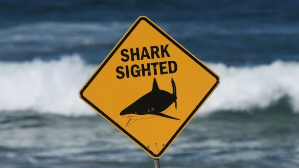 Die Strände in der Region um Crowdy Bay bleiben nach dem tödlichen Angriff auf eine Schweizerin zunächst weiter gesperrt. (Archivbild) - © Mark Baker/AP/dpa