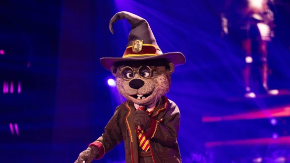 Ausgezaubert für Harry Otter: Clemens Schick ist in der Musikshow «The Masked Singer» enttarnt worden. (Archivbild) - © Rolf Vennenbernd/dpa