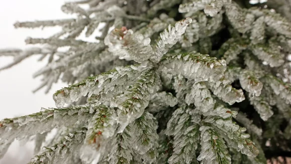 Zumindest ein paar Schneeflocken k&ouml;nnten an Heiligabend in Teilen Nordrhein-Westfalens fallen. (Symbolbild) - &copy; Matthias Bein/dpa